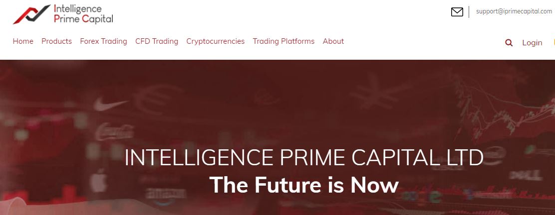 Intelligence Prime Capital Review