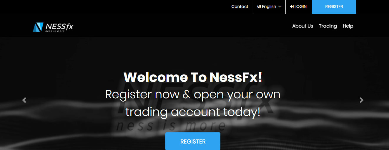 NessFx Review